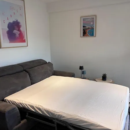 Daire Renove Marche Forville